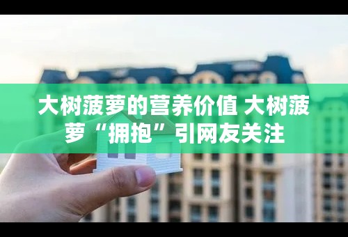 大树菠萝的营养价值 大树菠萝“拥抱”引网友关注