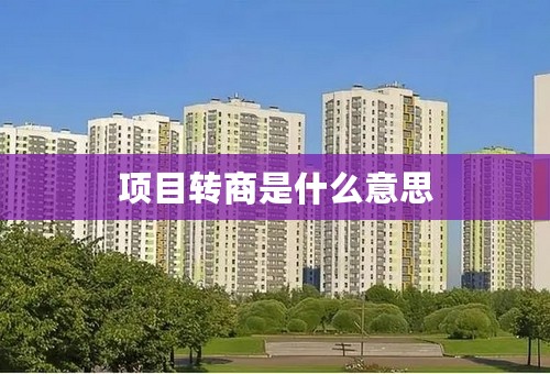 项目转商是什么意思