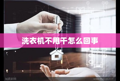 洗衣机不甩干怎么回事