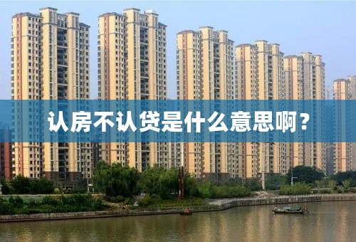 认房不认贷是什么意思啊？