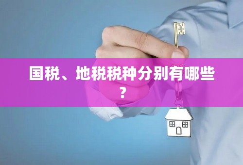 国税、地税税种分别有哪些？