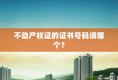 不动产权证的证书号码填哪个？