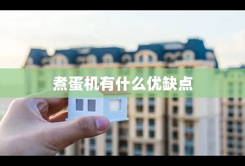 煮蛋机有什么优缺点