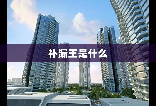 补漏王是什么