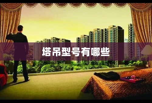 塔吊型号有哪些