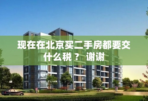 现在在北京买二手房都要交什么税 ？ 谢谢
