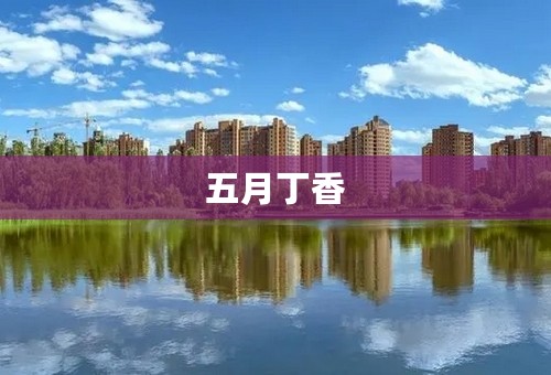 五月丁香