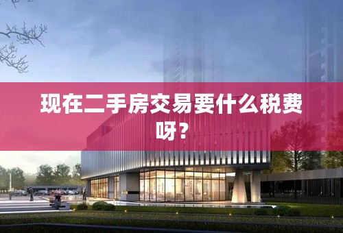 现在二手房交易要什么税费呀？