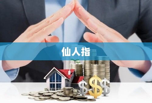 仙人指