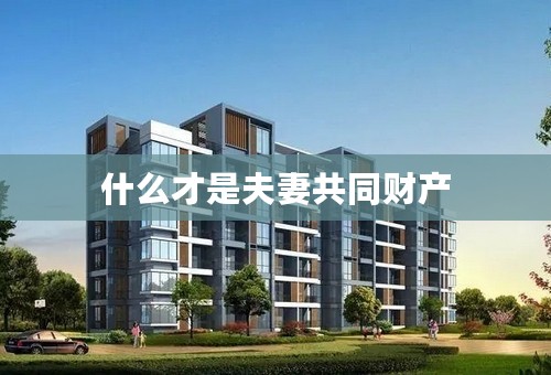 什么才是夫妻共同财产