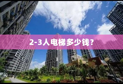 2-3人电梯多少钱？