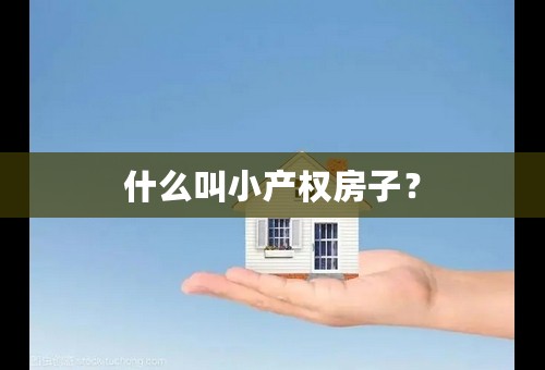 什么叫小产权房子？