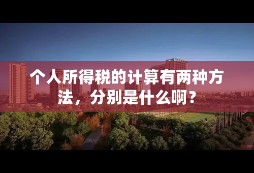 个人所得税的计算有两种方法，分别是什么啊？