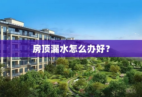 房顶漏水怎么办好？