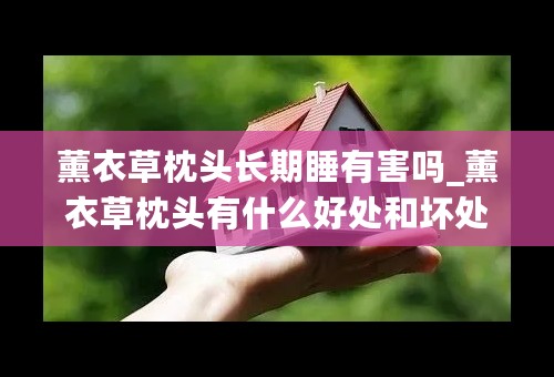薰衣草枕头长期睡有害吗_薰衣草枕头有什么好处和坏处_薰衣草枕头的功效与作用