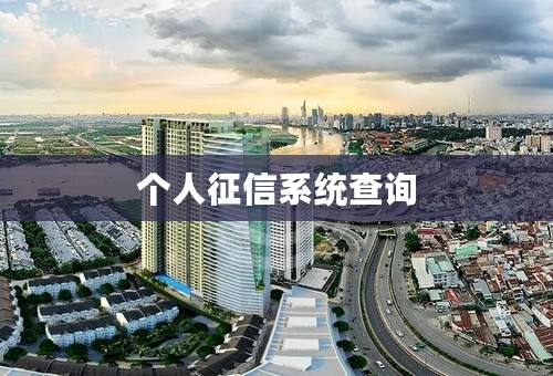 个人征信系统查询