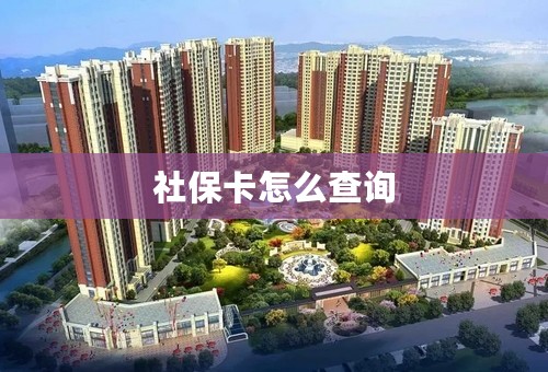 社保卡怎么查询