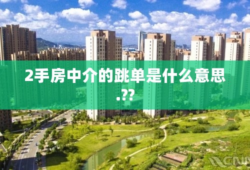 2手房中介的跳单是什么意思.??