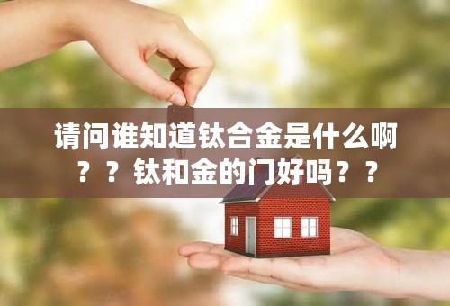 请问谁知道钛合金是什么啊？？钛和金的门好吗？？