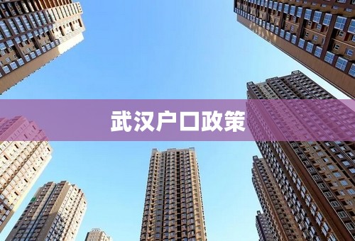 武汉户口政策