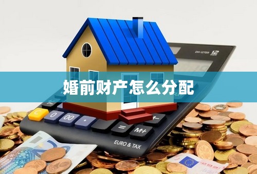 婚前财产怎么分配