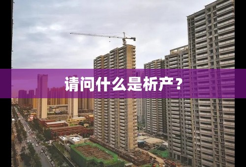 请问什么是析产？