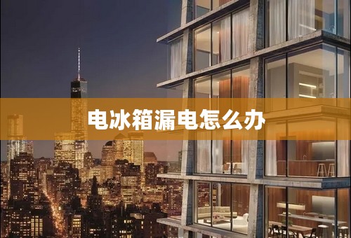 电冰箱漏电怎么办