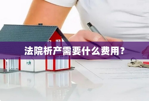 法院析产需要什么费用？