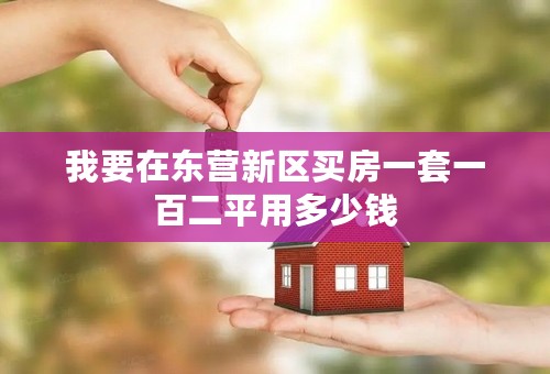 我要在东营新区买房一套一百二平用多少钱