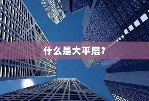 什么是大平层？