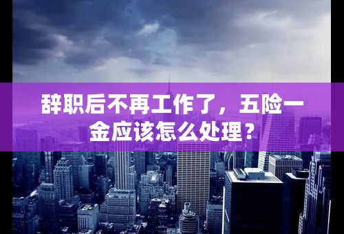 辞职后不再工作了，五险一金应该怎么处理？