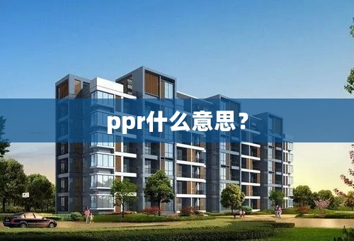 ppr什么意思？