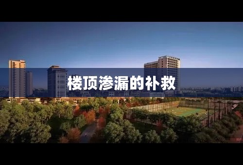 楼顶渗漏的补救