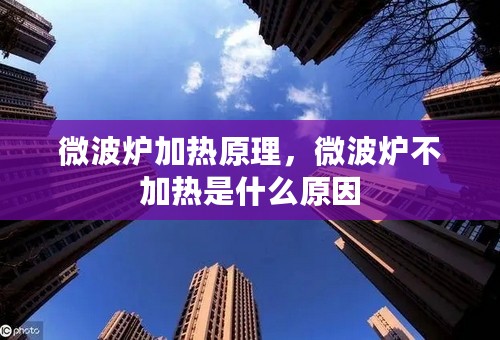 微波炉加热原理，微波炉不加热是什么原因
