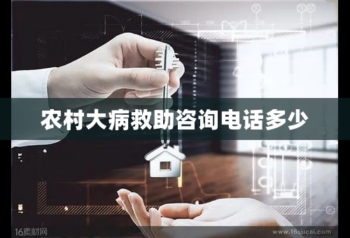 农村大病救助咨询电话多少