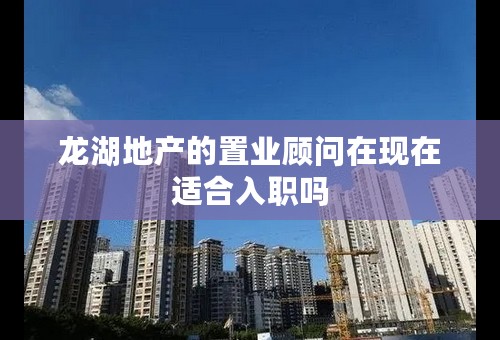 龙湖地产的置业顾问在现在适合入职吗
