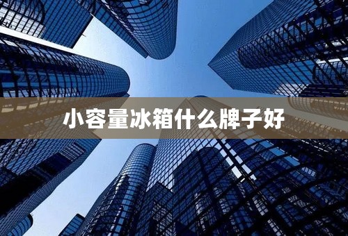 小容量冰箱什么牌子好