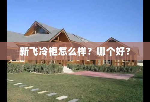 新飞冷柜怎么样？哪个好？