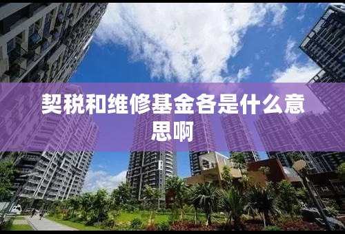 契税和维修基金各是什么意思啊