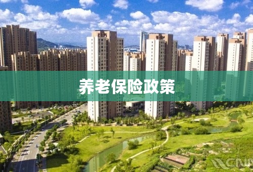 养老保险政策