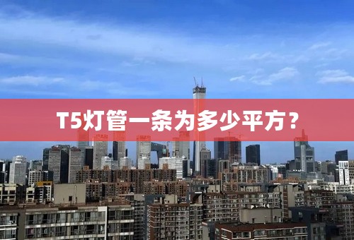 T5灯管一条为多少平方？