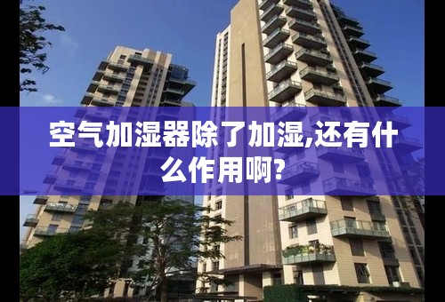 空气加湿器除了加湿,还有什么作用啊?