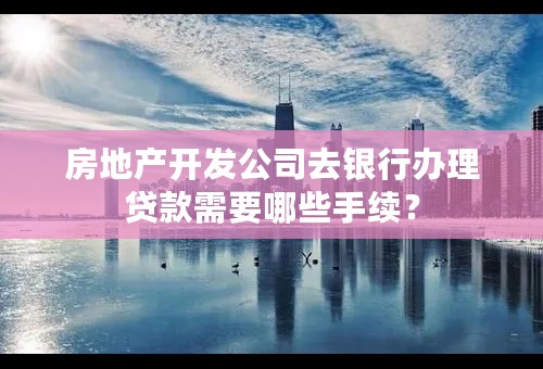 房地产开发公司去银行办理贷款需要哪些手续？