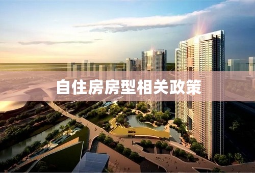 自住房房型相关政策