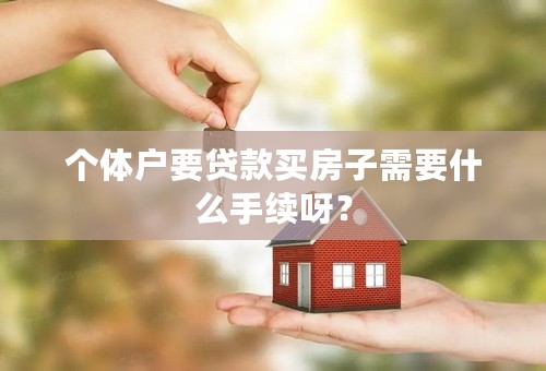 个体户要贷款买房子需要什么手续呀？