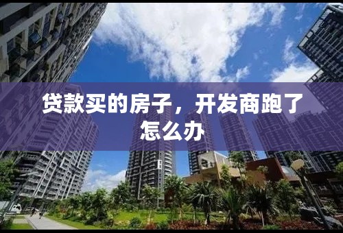 贷款买的房子，开发商跑了怎么办