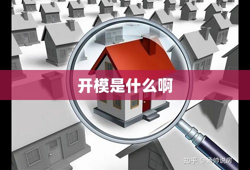 开模是什么啊