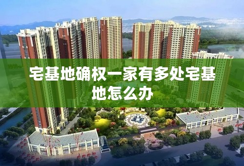 宅基地确权一家有多处宅基地怎么办