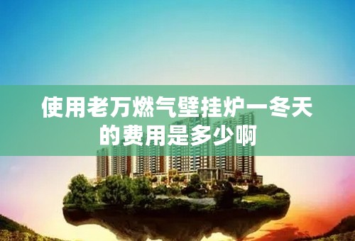 使用老万燃气壁挂炉一冬天的费用是多少啊