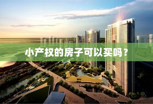 小产权的房子可以买吗？